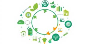 Economía Circular: Modelos de Negocio Rentables y Sostenibles